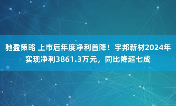 驰盈策略 上市后年度净利首降！宇邦新材2024年实现净利3861.3万元，同比降超七成