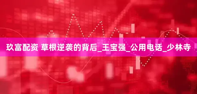 玖富配资 草根逆袭的背后_王宝强_公用电话_少林寺