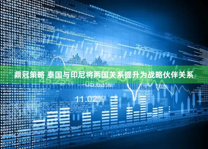 鼎冠策略 泰国与印尼将两国关系提升为战略伙伴关系